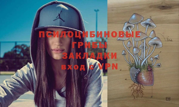 ешки Абинск