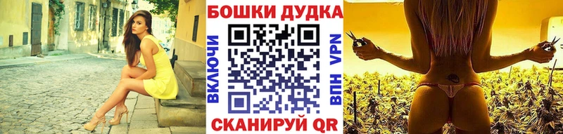 купить наркоту  Новопавловск  Шишки марихуана тримм 